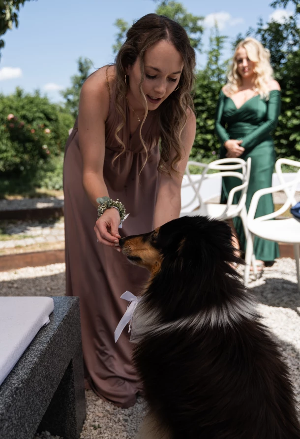 Hund bringt die Eheringe zur Trauung – emotionale Überraschung bei Sommerhochzeit in Schwäbisch Gmünd
